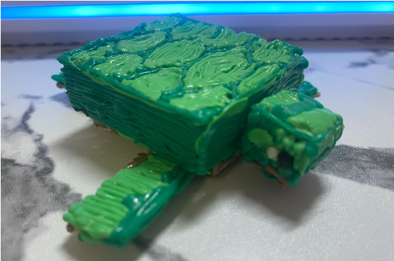 Jerry the sea turtle